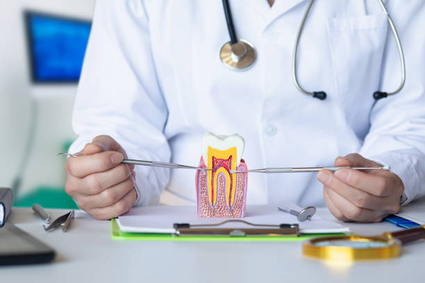Best Weekend Emergency Dental Services in Mccoll, SC